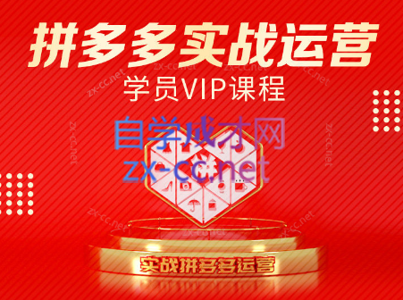 推易电商·拼多多实战运营课(更新2025月)-LH资源分享网