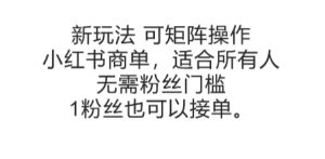 可矩阵操作，小红书商单新玩法，适合所有人，无需粉丝门槛，1粉丝也可以接单-LH资源分享网