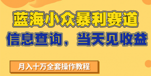 蓝海小众暴利赛道，信息查询，当天见收益，不讲玄学，7天搞了2万+-LH资源分享网