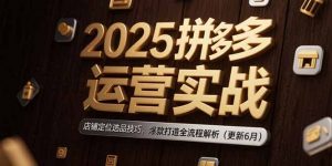 2025拼多多运营实战：店铺定位选品技巧，爆款打造全流程解析(更新6月-LH资源分享网