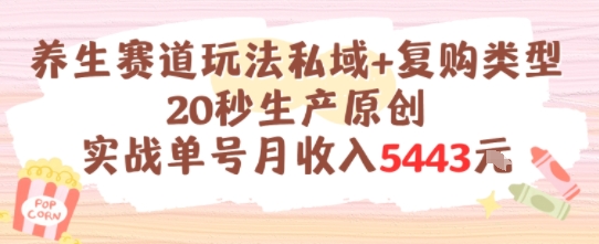 养生赛道玩法私域+复购类型，20秒生产原创实战单号月收入5k+-LH资源分享网
