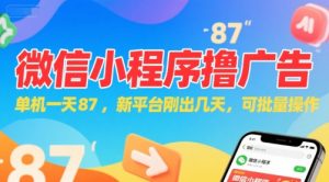 微信小程序看广告，单机一天87，新平台刚出几天，可批量操作，日入5张-LH资源分享网