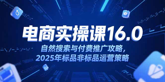 淘宝电商运营课16.0，自然搜索与付费推广攻略，2025年标品非标品运营策略-LH资源分享网
