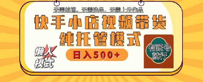 快手小店托管代运营，无需剪辑，无需选品，无需上传作品，全程无需操作，轻松月入5k+【揭秘】-LH资源分享网