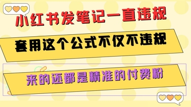 小红书发笔记一直违规，套用这个公式不仅不违规，来的还都是精准的付费粉-LH资源分享网