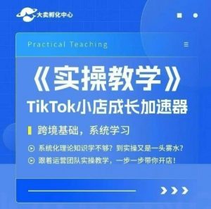 大卖家孵化中心TikTok实操课，TikTok小店成长加速器，跨境基础系统学习，一步一步带你开店-LH资源分享网