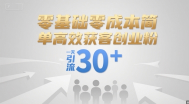 零基础零成本简单高效获客创业粉，一天引流30+-LH资源分享网