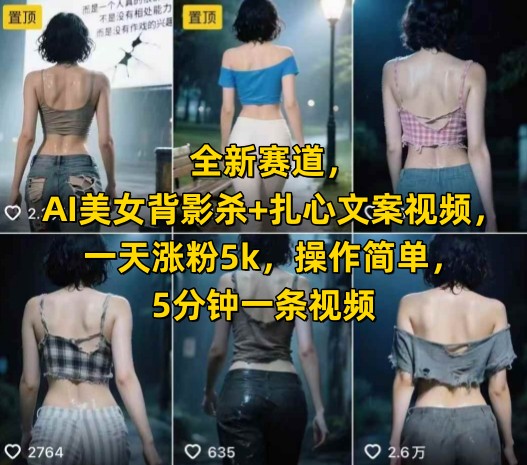全新赛道，AI美女背影杀+扎心文案视频，一天涨粉5k，操作简单，5分钟一条视频-LH资源分享网