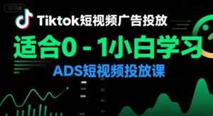 Tiktok短视频广告投放,适合0-1小白学习ADS短视频投放课-LH资源分享网