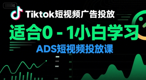 Tiktok短视频广告投放，适合0-1小白学习ADS短视频投放课-LH资源分享网