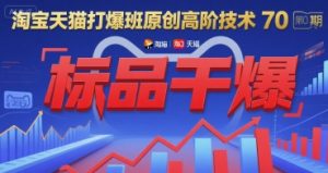 淘宝天猫打爆班原创高阶技术第70期：标品干爆-LH资源分享网