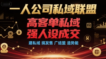 一人公司私域联盟，高客单私域，强人设成交，建私域 搞发售 广结盟 造势能-LH资源分享网