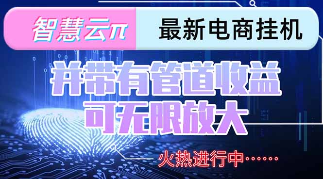 智慧云π电脑挂机单机每天收益300—500+ 并带有团队管道收益 可无限放大-LH资源分享网