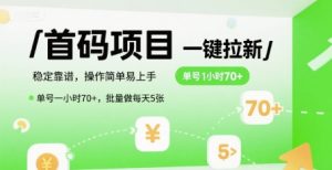 首码一键拉新项目，稳定靠谱，操作简单易上手，单号一小时70+，批量做每天5张【揭秘】-LH资源分享网