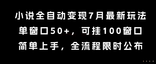 小说全自动变现7月玩法，单窗口50+，可挂100窗口，简单上手，全流程限时公布【揭秘】-LH资源分享网