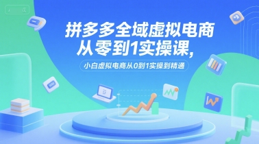 拼多多全域虚拟电商从零到1实操课，小白虚拟电商从0到1实操到精通-LH资源分享网