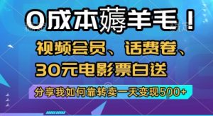 0成本薅羊毛!视频会员、话费卷、30元电影票白送，分享我如何靠转卖一天变现5张+【揭秘】-LH资源分享网