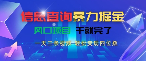 信息查询暴力掘金，一天三条视频，轻松变现四位数，风口项目干就完了【揭秘】-LH资源分享网