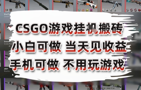 CSGO游戏挂G搬砖，小白纯手机即可操作，不用电脑打游戏，日入3张+，副业网创项目【揭秘】-LH资源分享网