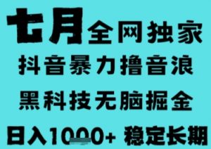 7月最新风口抖音无人直播撸音浪，长期稳定，非短期，全自动运行，低门槛无脑，日入1k+【揭秘】-LH资源分享网
