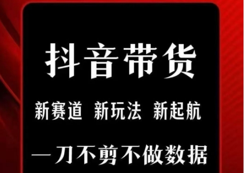 抖音短视频一刀不剪带货，不剪辑，不直播，每天发个视频，等着出单获取带货佣金-LH资源分享网