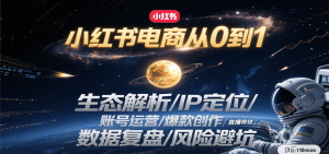 小红书电商从0到1:生态解析/IP定位/ 账号运营/爆款创作/直播带货/数据复盘/风险避坑-LH资源分享网