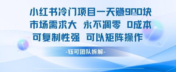 小红书冷门项目一天收益9张，市场需求大，0成本，可复制性强可以矩阵操作-LH资源分享网