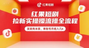 红果短剧拉新实操全流程，发就有米拿，单账号月收入几k-LH资源分享网