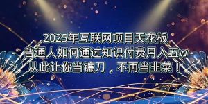2025年互联网项目天花板，普通人如何通过卖项目实现逆风翻盘，月入5W＋！-LH资源分享网