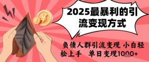 2025年最暴利的引流变现方式,负债人群引流变现,小白轻松上手,日入1k-LH资源分享网