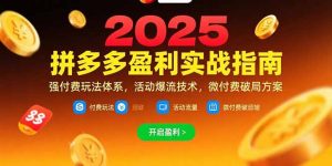 拼多多盈利实战指南，强付费玩法，活动爆流技术，微付费破局方案(更新7月-LH资源分享网