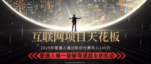 2025“互联网项目天花板”：不做韭菜，做镰刀！“月入 10W+ 普通人弯道…-LH资源分享网