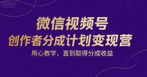 微信视频号创作者分成计划变现营，用心教学，直到取得分成收益-LH资源分享网