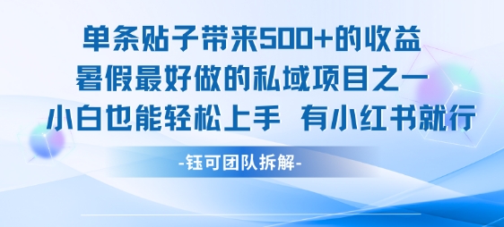 单条贴子带来5张的收益，暑假最好做的私域项目之一，小白也能轻松上手，有小红书就行-LH资源分享网
