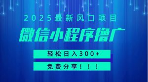 微信小程序撸广，最新风口项目，日入300+ 免费分享 可批量操作 小白可轻松上手！！-LH资源分享网