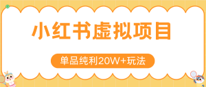 小红书虚拟电商新玩法,实现单品纯利20W+,可矩阵放大操作!-LH资源分享网