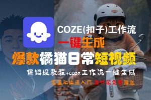 COZE(扣子)工作流一键生成爆款橘猫日常短视频，保姆级教程，零基础快速入门-LH资源分享网