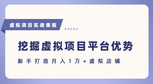 抓住虚拟项目各平台优势，新手轻松月入1W+(给出具体建议)-LH资源分享网