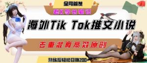 海外tiktok小说推文暴力项目，高停留率，高转化率，上手后一天搞顿饭钱不是问题-LH资源分享网