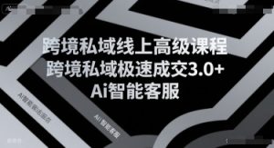 跨境私域线上高级课程，跨境私域极速成交3.0+Ai智能客服-LH资源分享网
