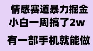 情感暴力掘金项目,新人操作一周挣了2W,长期稳定小白可做【揭秘】-LH资源分享网