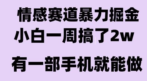 情感暴力掘金项目，新人操作一周挣了2W，长期稳定小白可做【揭秘】-LH资源分享网