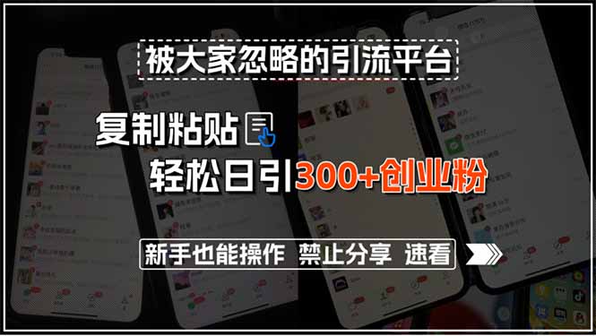 被大家忽略的引流平台，复制粘贴轻松日引300+创业粉，新手也能操作，禁…-LH资源分享网