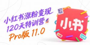 小红书涨粉变现120天特训营Pro版11.0：从0到1掌握平台运营,内容制作和变现-LH资源分享网