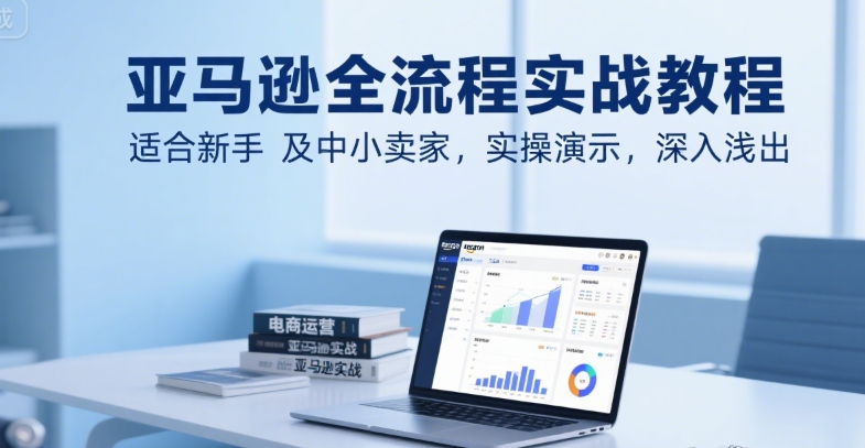 亚马逊全流程实战教程，适合新手及中小卖家，实操演示，深入浅出-LH资源分享网