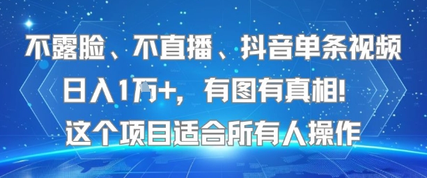 不露脸、不直播、抖音单条视频日入1W+，有图有真相！这个项目适合所有人操作-LH资源分享网