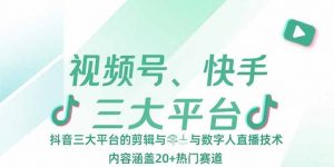 视频号、快手、抖音三大平台的剪辑与数字人直播技术，内容涵盖20+热门赛道-LH资源分享网