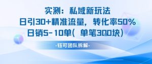 实测私域新玩法日引30加精准流量转化率50%日销5-10单每笔3张-LH资源分享网