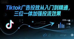 Tiktok广告投放从入门到精通，三位一体加强投流效果-LH资源分享网