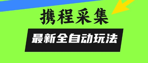 携程信息采集全自动玩法，0风控，无脑开干【揭秘】-LH资源分享网